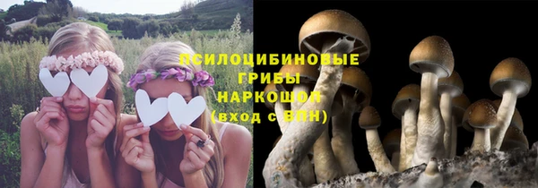 соль ск Арсеньев